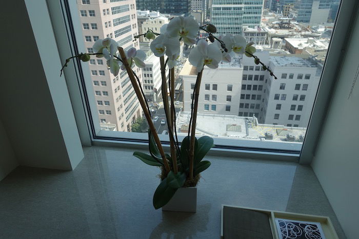 St-Regis-San-Francisco - 19